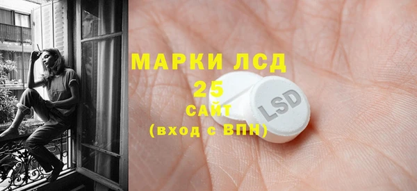 соль ск Новозыбков