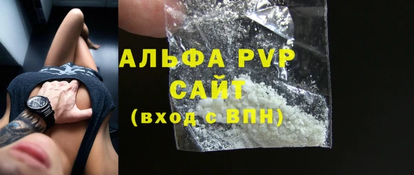 соль ск Новозыбков