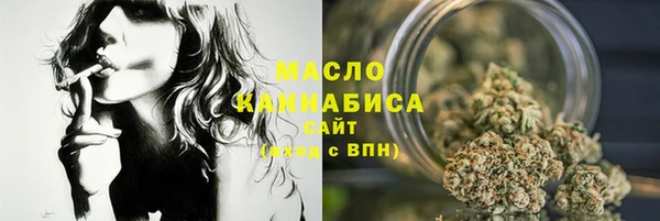 соль ск Новозыбков