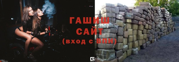 соль ск Новозыбков