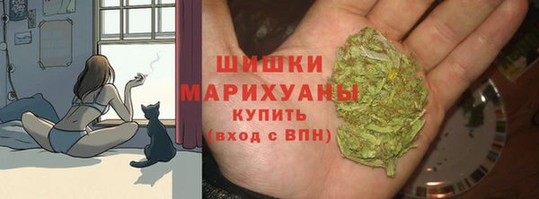 ECSTASY Новодвинск