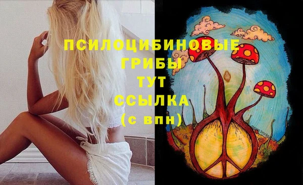 соль ск Новозыбков