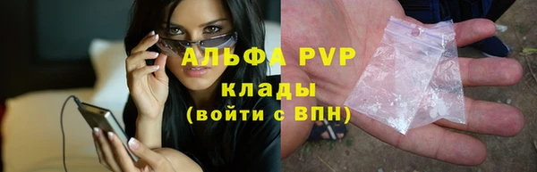 ECSTASY Новодвинск