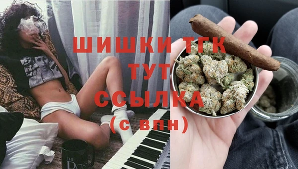 соль ск Новозыбков
