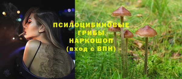 дживик Новокубанск