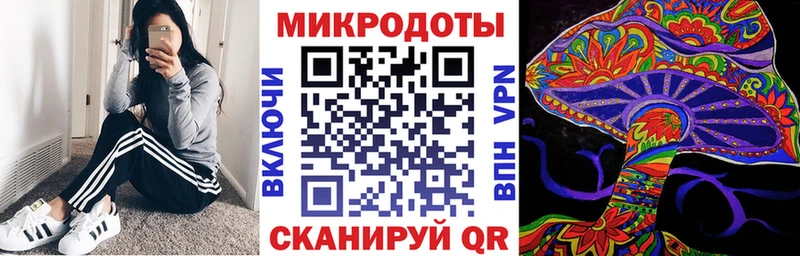 Псилоцибиновые грибы прущие грибы  Купить  Дубовка 